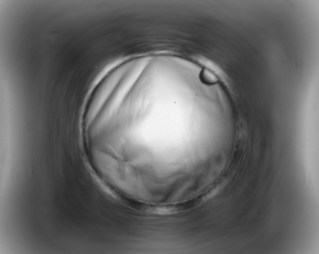 X0000086241423200704121925