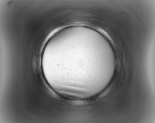 X0000086241424200704121925