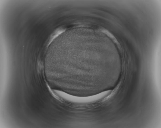X0000086241425200704121925
