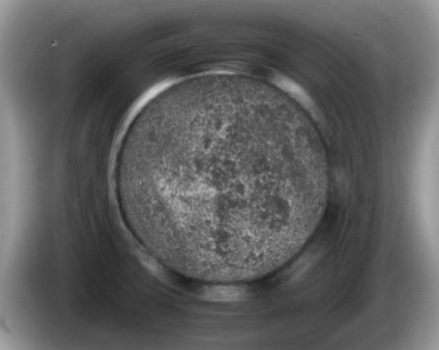 X0000086241427200704121925