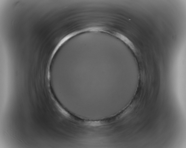 X0000086241428200704121925