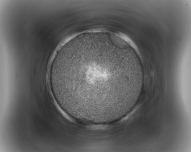 X0000086241429200704121925