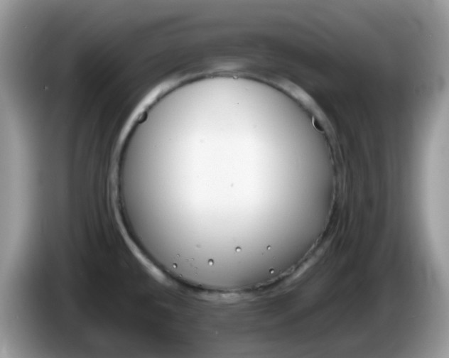X0000086241432200704121925