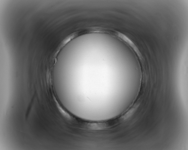 X0000086241433200704121925