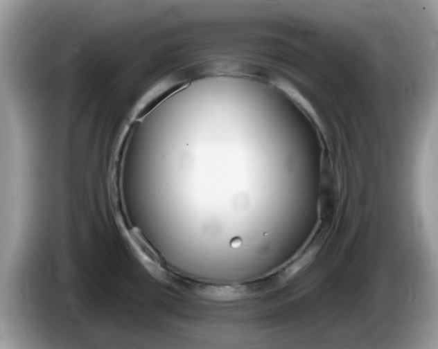 X0000086241434200704121925