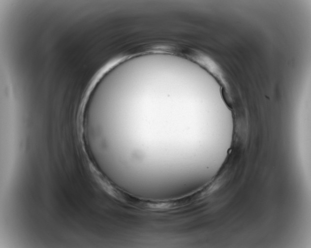 X0000086241435200704121926
