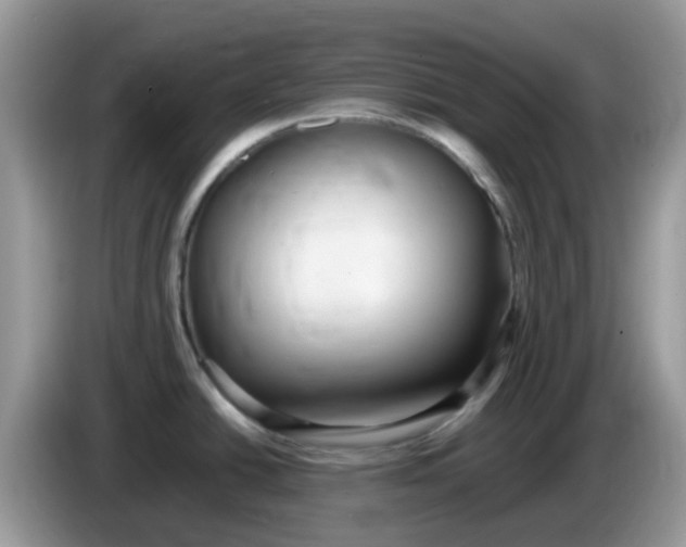X0000086241438200704121926
