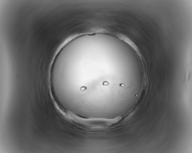 X0000086241439200704121926