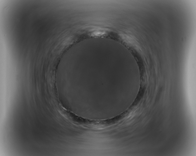X0000086241441200704121925