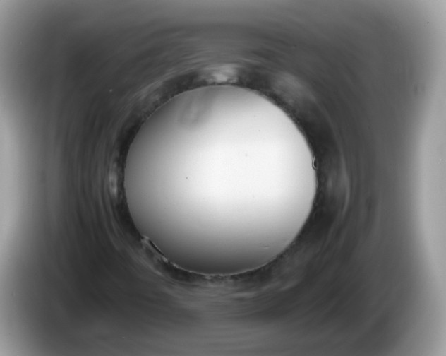 X0000086241442200704121925