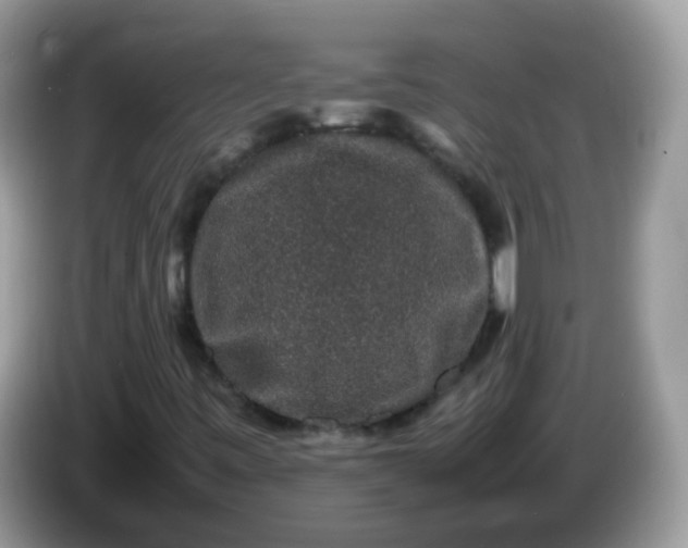 X0000086241443200704121925