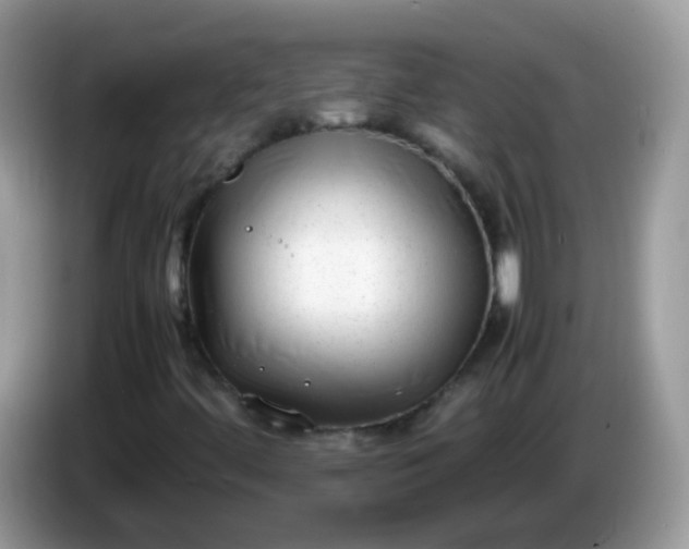 X0000086241444200704121925