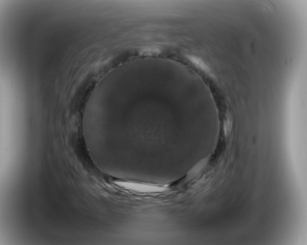 X0000086241445200704121925