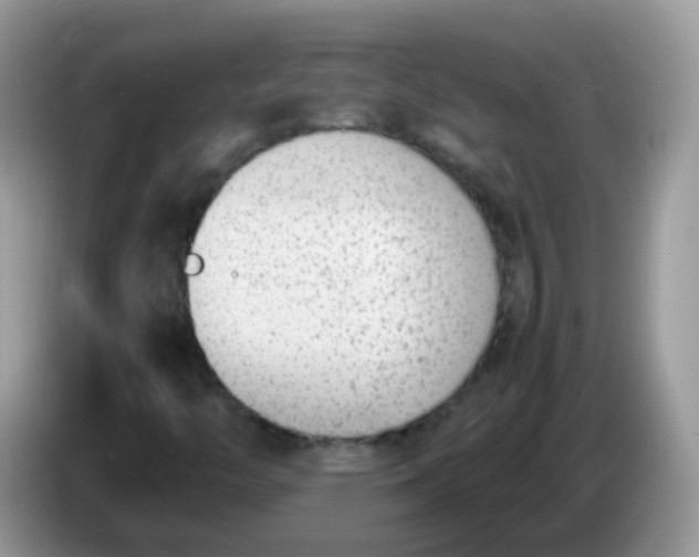 X0000086241446200704121925