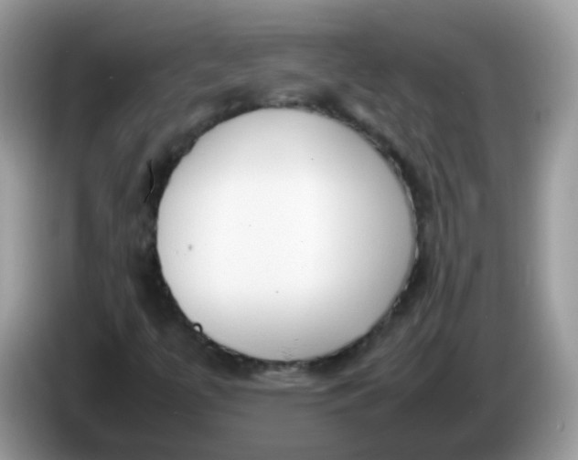 X0000086241447200704121925