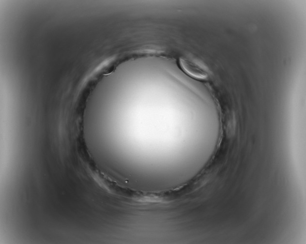 X0000086241448200704121925