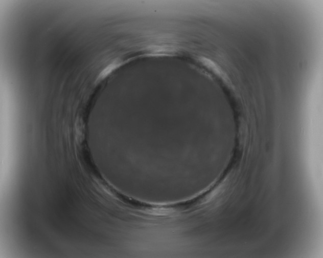 X0000086241449200704121925