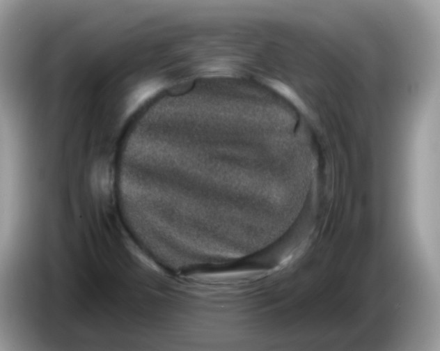 X0000086241450200704121925