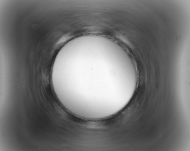 X0000086241451200704121925