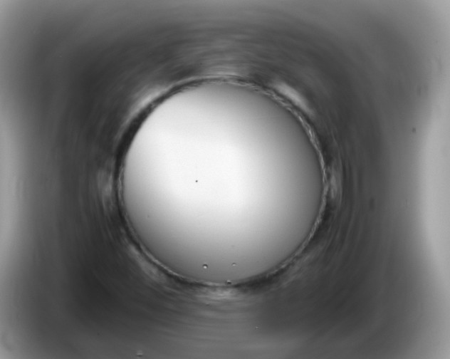 X0000086241452200704121925