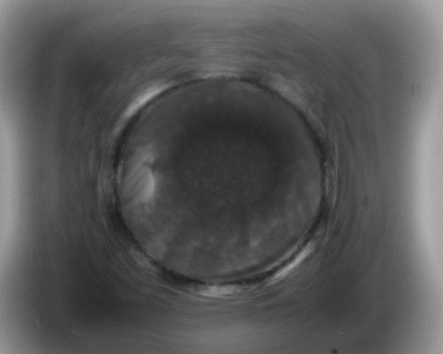 X0000086241453200704121925