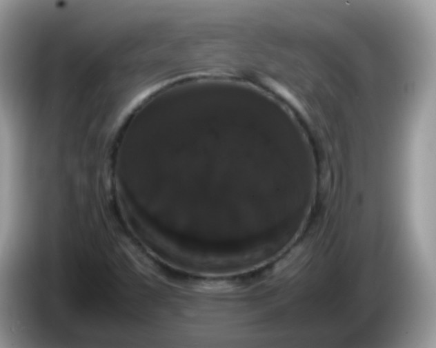 X0000086241455200704121925