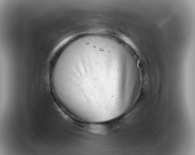 X0000086241456200704121925
