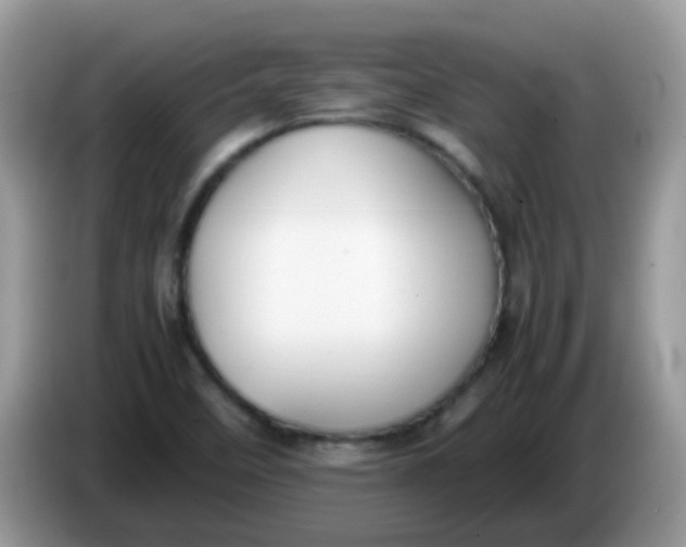X0000086241458200704121925