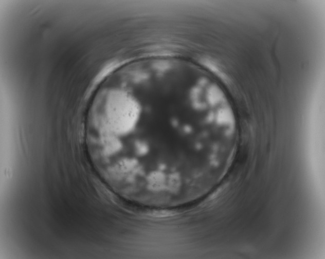 X0000086241459200704121925