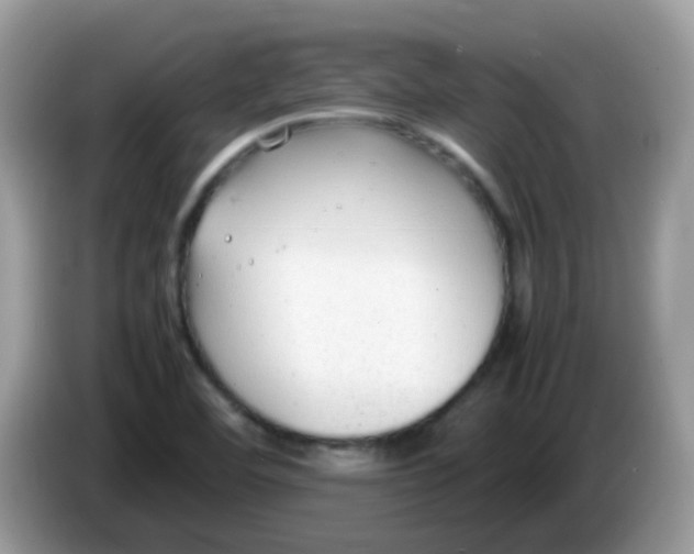 X0000086241460200704121925