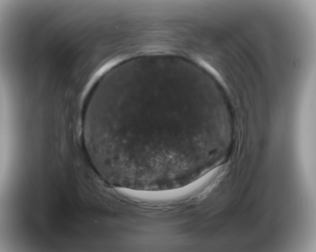 X0000086241461200704121925