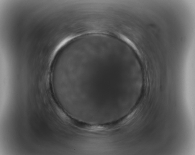 X0000086241463200704121925