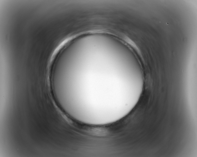 X0000086241464200704121925
