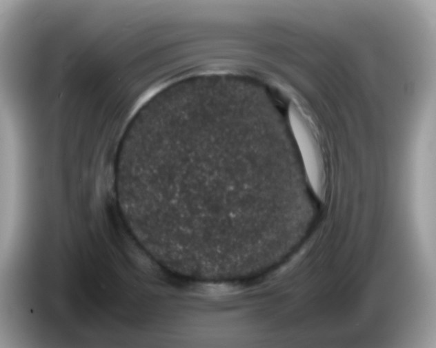 X0000086241465200704121925