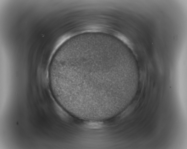 X0000086241466200704121925