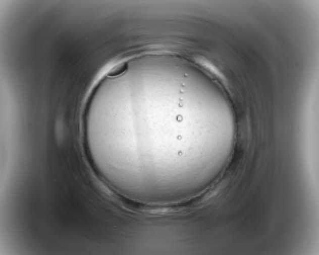 X0000086241467200704121925