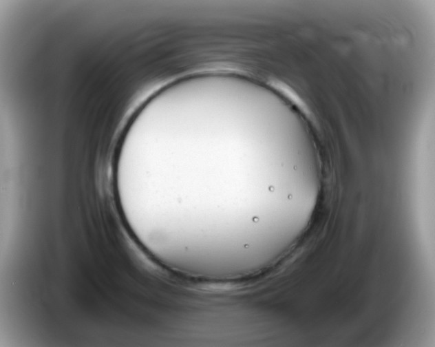 X0000086241468200704121925
