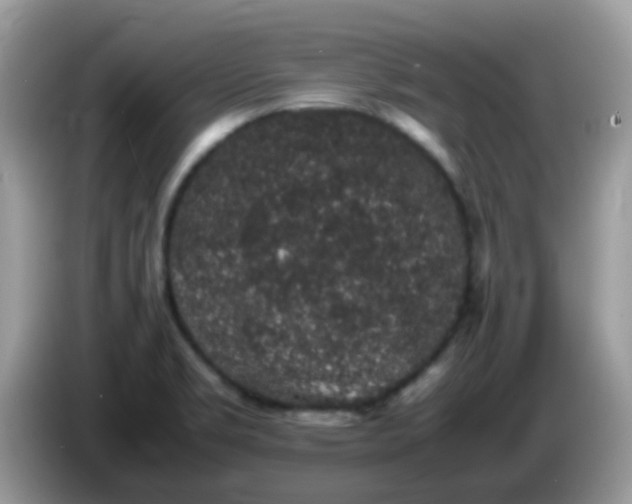 X0000086241469200704121925