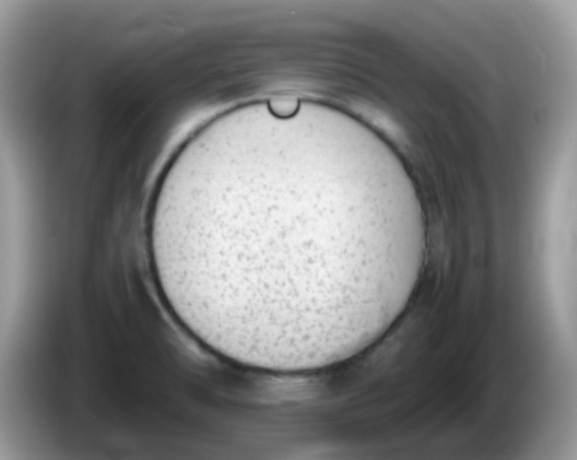 X0000086241470200704121925