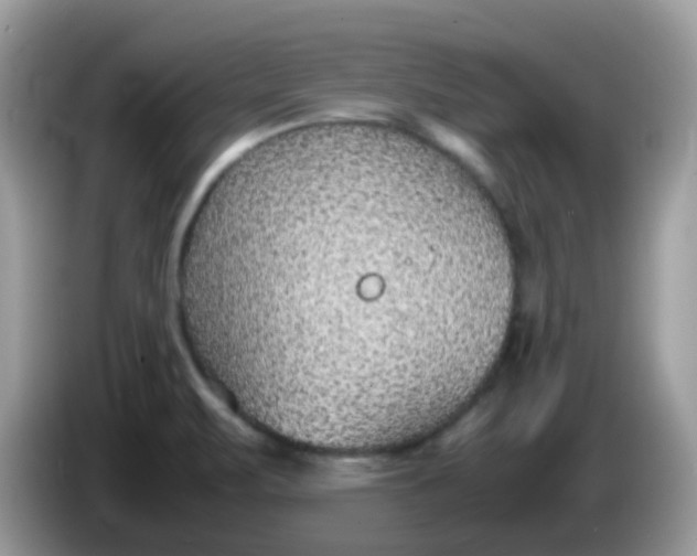 X0000086241471200704121925