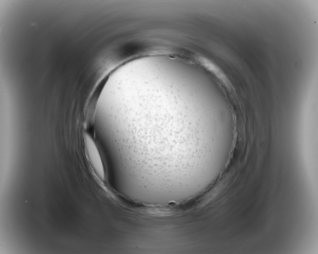 X0000086241473200704121925