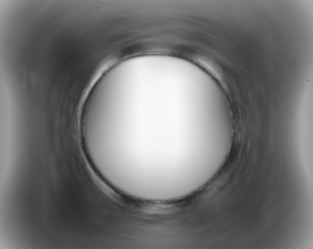 X0000086241475200704121925