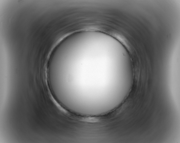 X0000086241476200704121925