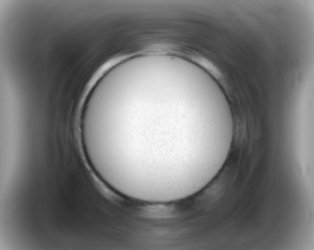 X0000086241478200704121925