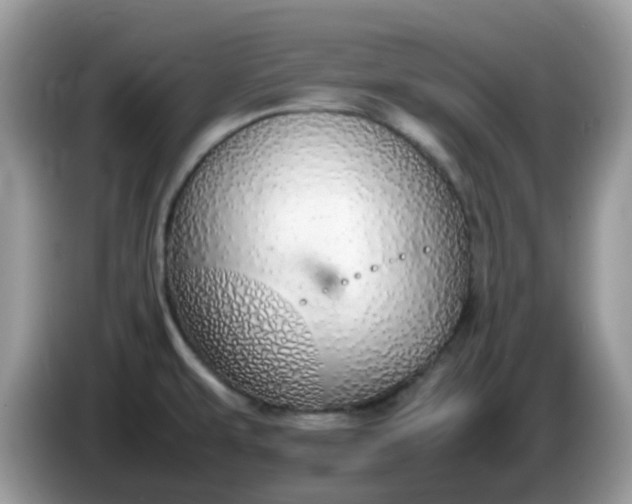 X0000086241479200704121925