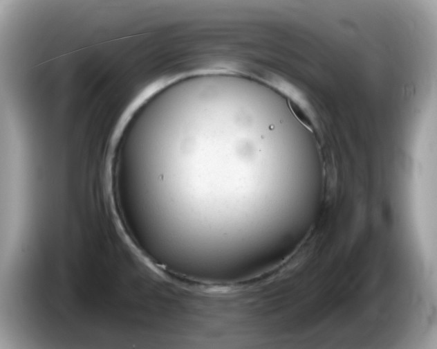 X0000086241480200704121925