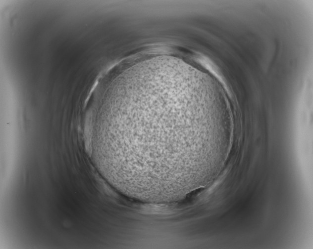X0000086241481200704121925