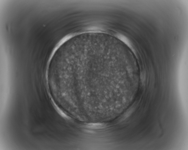 X0000086241482200704121925