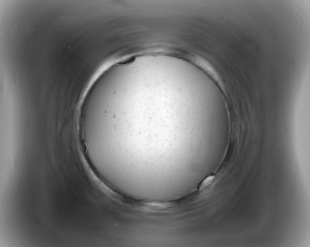 X0000086241483200704121925