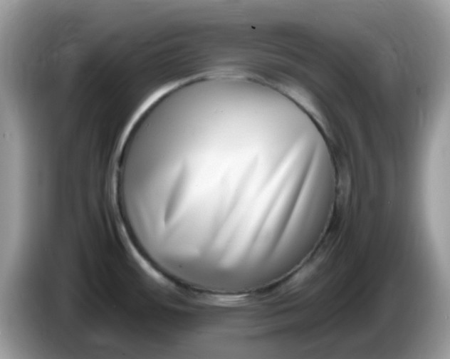 X0000086241484200704121925